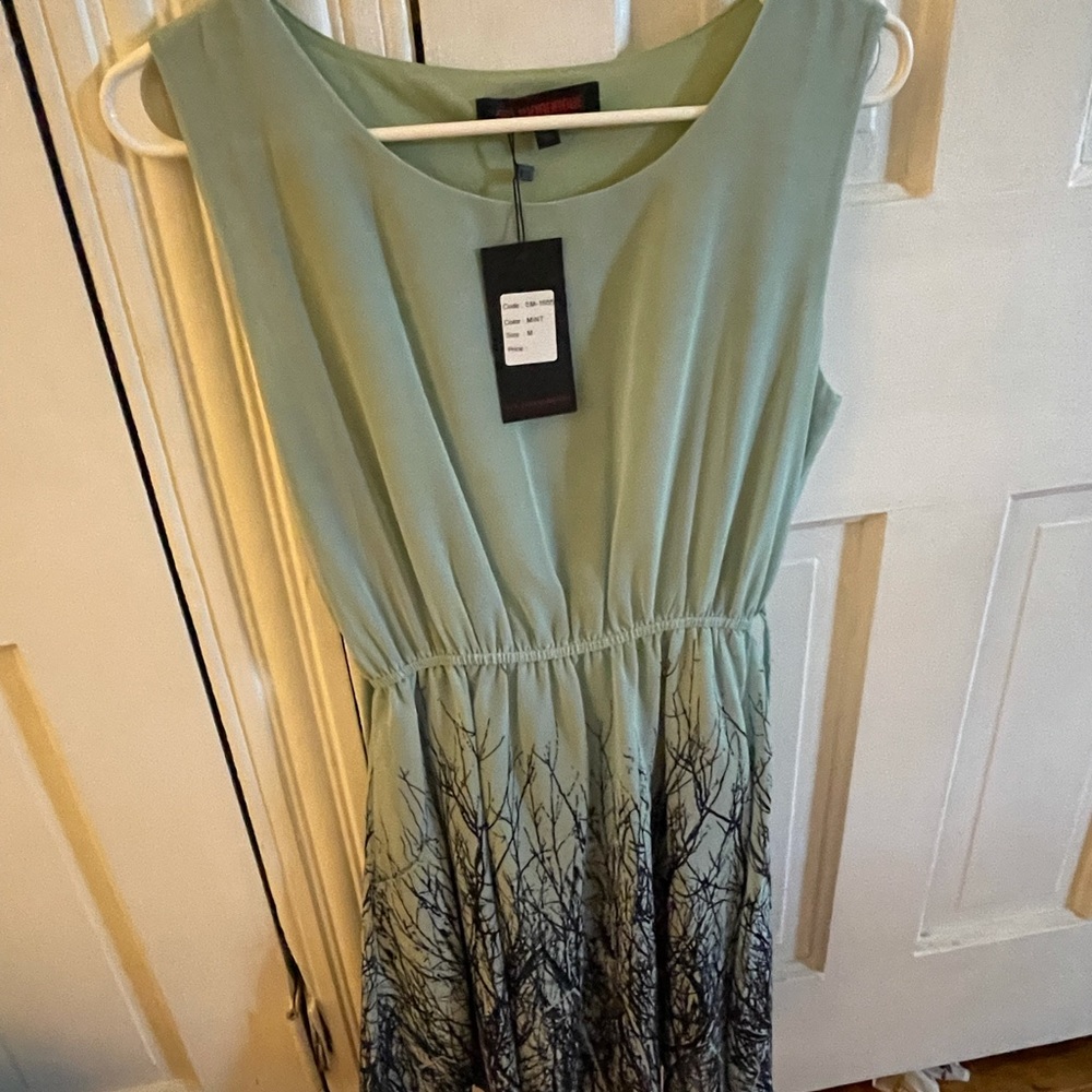 NWOT mint dress